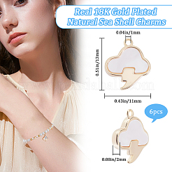 6 шт. подвески-облака из натуральной морской ракушки KK-BBC00014-93