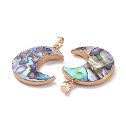 Подвески из натурального ушка / ракушки&nbsp;SSHEL-L019-08G