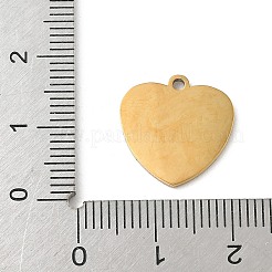 Подвески из нержавеющей стали 304 с эмалью&nbsp;STAS-I351-21G-01