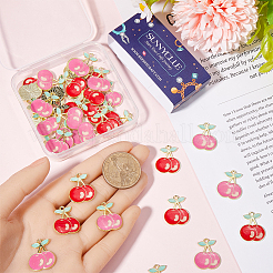 40шт 2 цвета светлые позолоченные подвески из сплава с эмалью&nbsp;FIND-SC0013-20