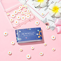 30шт 3 стиля натуральные бусины из пресноводных ракушек&nbsp;SHEL-SC0001-91