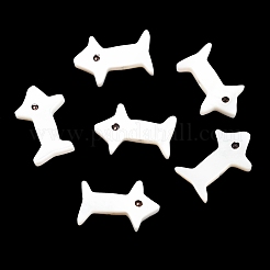 Бусины из натуральных пресноводных ракушек SHEL-R129-01