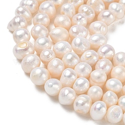 天然養殖淡水パールビーズ連売り  グレードAB  ポテト  ベージュ  7~8mm  穴：0.5mm  約52個/連  13.19~13.39''（33.5~34センチメートル）&nbsp;PA-CBAC463-06