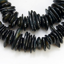 Shell perle naturali fili, tinto, pezzo, nero, 6~15x3~7x1~3mm, Foro: 1 mm