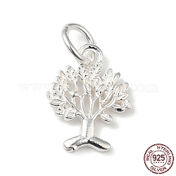 Encantos de plata 925 esterlina, árbol de la vida, con anillo de salto, con sello s925, plata, 12x9x1mm, agujero: 3.5 mm