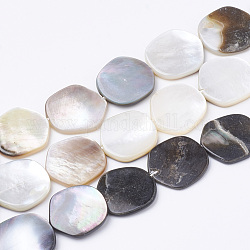 Chapelet de perles coquille de lèvre noire, pentagone, noir, 17~18x15~16x2~3mm, Trou: 1mm, Environ 22 pcs/chapelet, 14.9 pouce