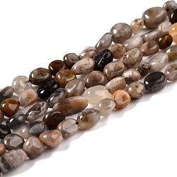 Ciocche di perline nere naturali, pepite, pietra burrattata, 5~8.5x5.5~7x3.5~4mm, Foro: 0.7 mm, circa 64pcs/filo, 16.34'' (41.5 cm)