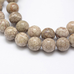 Fossiles naturelle perles de corail brins, ronde, 8mm, Trou: 1mm, Environ 48 pcs/chapelet, 15.3 pouce (39 cm)