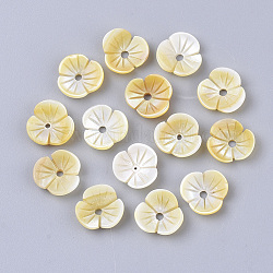Gelb Muschelperlen, Blume, blass Goldrute, 10.5x11x3 mm, Bohrung: 1.5 mm