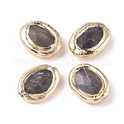 Perles naturelles de labradorite, avec bord en laiton plaqué or, facette, ovale, 19~19.5x15~15.5x6~6.5mm, Trou: 0.8mm