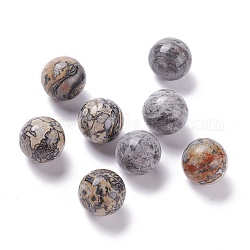 Natural Map Stone Beads, No Hole/Undrilled, for Wire Wrapped Pendant Making, Round, 20mm