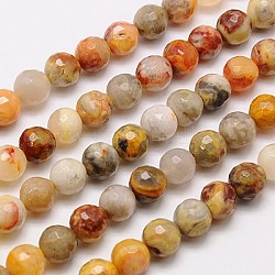 Natural Crazy Agate Beads Strands, Faceted, Round, Mixed Color, 10mm, Hole: 1mm, about 38pcs/strand, 15.75 inch
