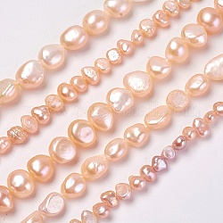 Natural Cultured Freshwater Pearl Beads Strands, Two Sides Polished, PeachPuff, 4~15x4~15mm, Hole: 0.5~1mm, about 24~95pcs/strand, 14.3 inch~14.9 inch(36.5~38cm)