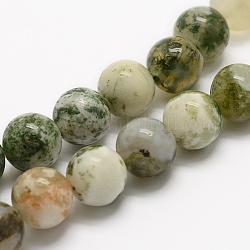 Chapelets de perles en agate d'arbre naturelle, ronde, 6mm, Trou: 1mm, Environ 62 pcs/chapelet, 15.3 pouce (39 cm)