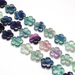 Fleurs naturelles perles arc-en fluorite de brins, 20x6.5mm, Trou: 1mm, Environ 20 pcs/chapelet, 15.74 pouce