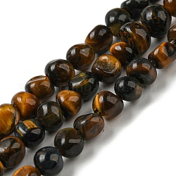 Chapelets de perles en œil de tigre naturelle, pierre roulée, pépites, 3~7.5x4.5~6x3~6mm, Trou: 1mm, Environ 61~66 pcs/chapelet, 15.16''~15.35'' (38.5~39 cm)