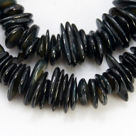 Chapelets de perles de coquillage naturel X-BSHE-D003-8-1