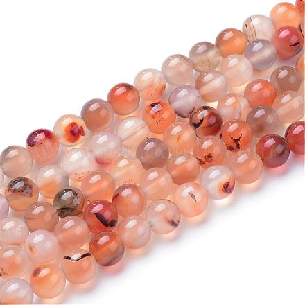 Brins de perles d'agate dendritique naturelle G-T055-6mm-20-1