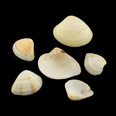 Perles en coquillage naturel SSHEL-R036-05-1