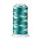 Segment Dyed Round Polyester Sewing Thread, for Hand & Machine Sewing, Tassel Embroidery, Light Green, 12-Ply, 0.8mm, about 300m/roll