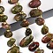 Natural Unakite Beads Strands, Nuggets, Top Drilled, Tumbled Stone, with Seed Beads, 9.5~25x4~11.5x3.5~8mm, Hole: 0.8~1mm, about 42~61pcs/strand, 14.96~16.14''(38~41cm)