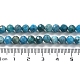 Natural Apatite Beads Strands G-J400-E01-04-4