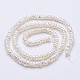 Natural Cultured Freshwater Pearl Beads Strands PEAR-F004-66-2