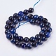 Natural Agate Round Beads Strand G-L084-10mm-27-2