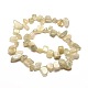 Natural White Moonstone Chip Bead Strands G-M204-38-2