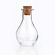 Glasflasche für Perle Container AJEW-H006-1-1