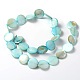 Natural Shell Beads Strands X-PBB251Y-8-2