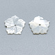 Perles de coquillage blanc naturel SSHEL-S260-008-2