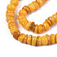 Chapelets de perles de coquille de trochid / trochus coquille SHEL-S258-081-B10-3