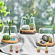 Craspire 21 pieza cactus accesorios de jardín de hadas adornos en miniatura con palabras suministros de jardín de hadas para jardín de hadas maceta micro paisaje decoración de escritorio decoración de pasteles regalo AJEW-CP0005-41-5