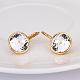 Real 18K Gold Plated Tin Alloy Cubic Zirconia Leverback Earrings EJEW-BB09658-G-2
