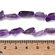Natürlichen Amethyst Perlen Stränge&nbsp;G-Z130-B01-01-5