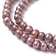 Natural Cultured Freshwater Pearl Beads Strands BSHE-L039-02-2