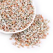 Выпечка краска стеклянные бусины SEED-C003-01Q