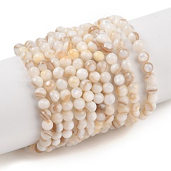 Hebras naturales de cuentas de concha de agua dulce, redondo, color de concha, 3mm, agujero: 0.5 mm, aproximamente 115 pcs / cadena, 14.41'' (36.6 cm)