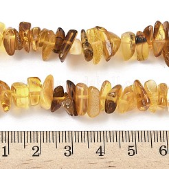 Янтарные шарики нити&nbsp;G-L095-D01-01