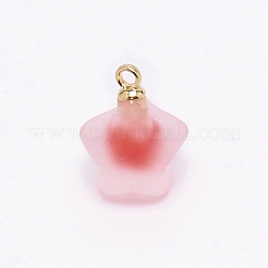 Кулоны из смолы MP-TAC0009-03E