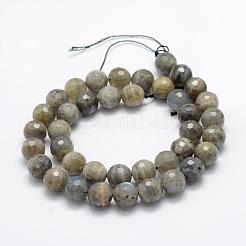 Perline labradorite naturale fili&nbsp;G-P322-32-4mm
