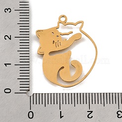 201 подвеска из нержавеющей стали&nbsp;LS-STAS-S176-20G