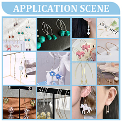 50 шт. ионное покрытие (IP) крючки для сережек из нержавеющей стали 304&nbsp;STAS-UN0058-58