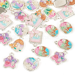 24шт 6 стиля подвески из сплава с эмалью&nbsp;ENAM-TA0003-27