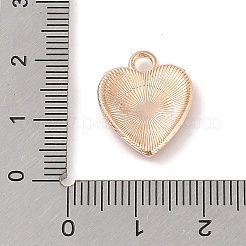 Подвески из эмали и сплава&nbsp;ENAM-Z010-34A-KCG