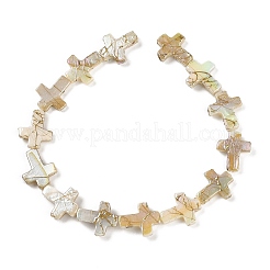 Нити строковые бусины из натуральных пресноводных ракушек BSHE-G036-01