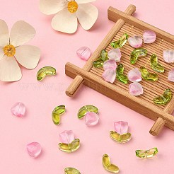 30шт 2 стильные прозрачные стеклянные бусины&nbsp;GLAA-YW0001-85