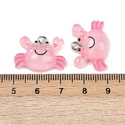 Прозрачные смоляные подвески RESI-F058-01B