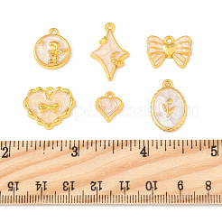 24шт 6 стиля подвески из сплава с эмалью&nbsp;ENAM-FS0002-65G